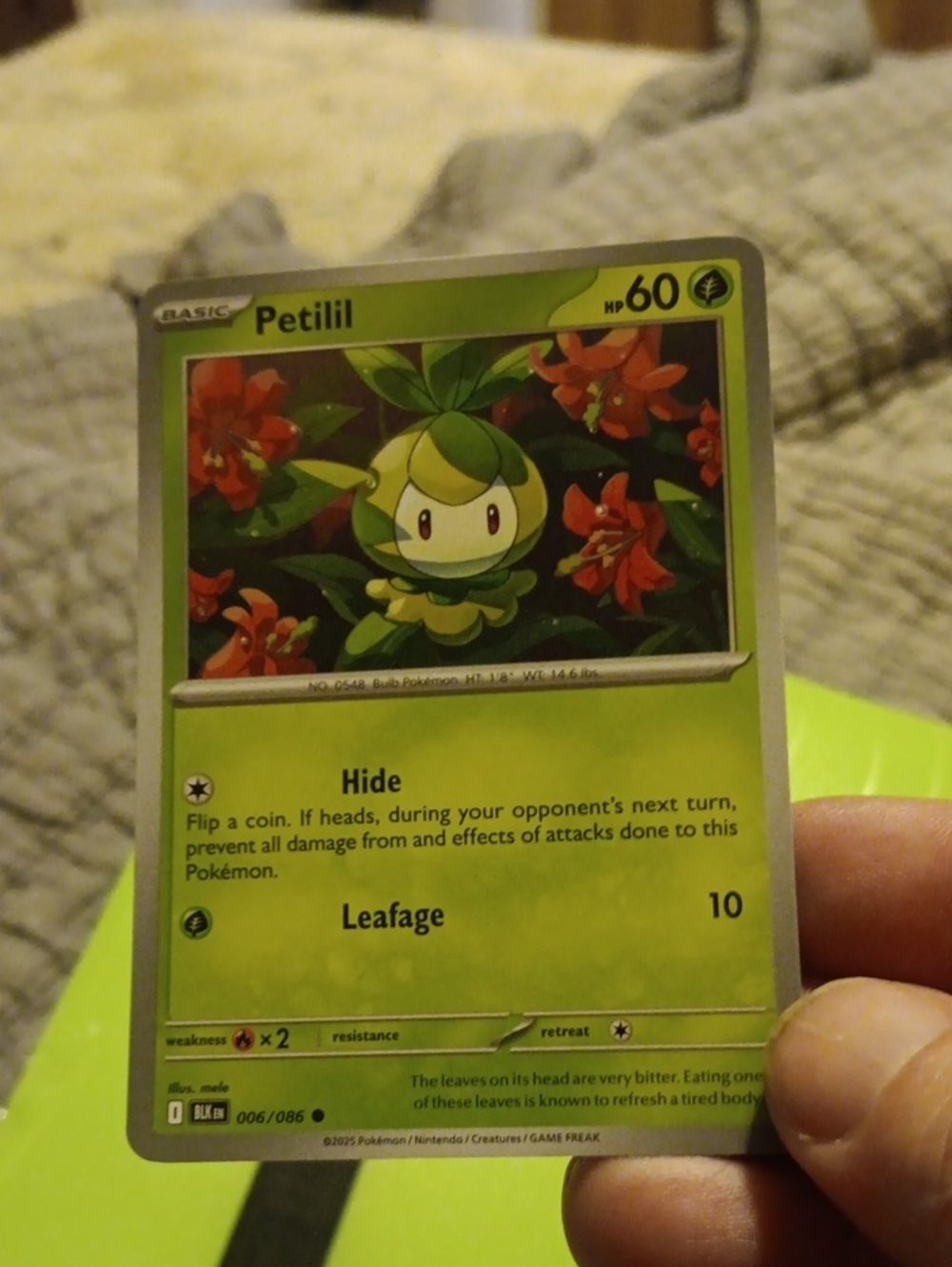 Pokemon Petilil Green & Red Trading Card